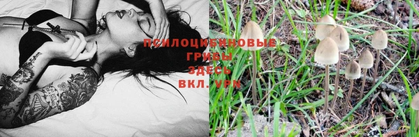 эйфоретик Алексин