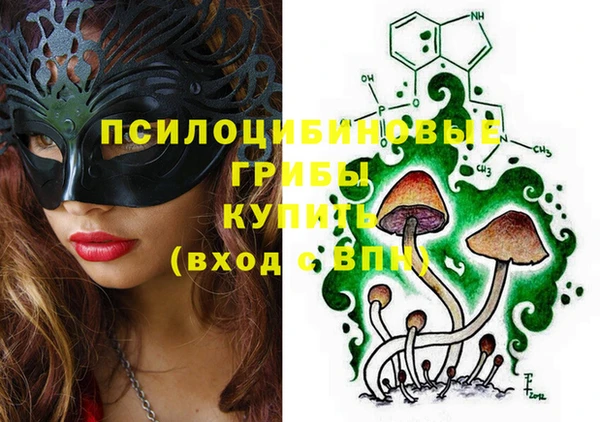 соль ск Алексеевка